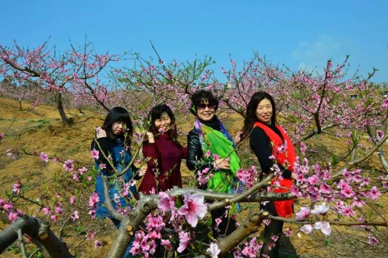 美麗的桃花嶺我們來(lái)了(圖1)