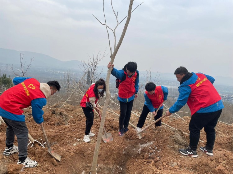  黨建帶團建——3月“公益植樹(shù)”主題黨日和主題團日活動(dòng)(圖3)